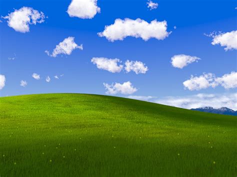 BLISS .